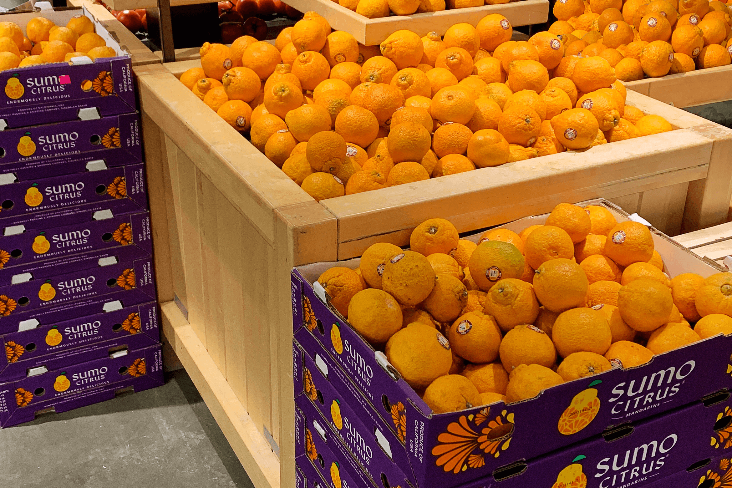 sumo tangerine